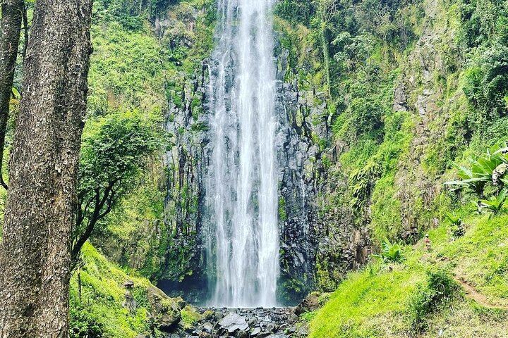 Private Materuni Waterfalls and Coffee Tour with Hot Lunch and Banana Wine Tasting (3/12)