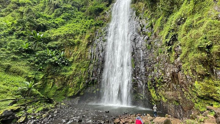Materuni Waterfall, Chagga Coffee Tour and Chemka Hot Springs with Fruit Lunch (1/12)