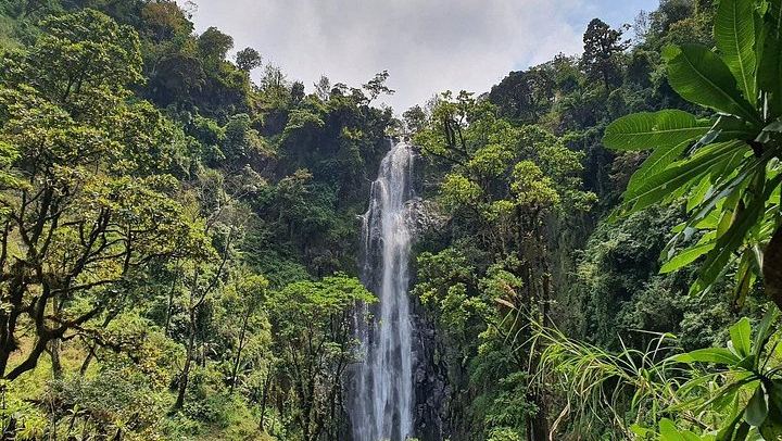 Materuni Waterfall, Chagga Coffee Tour and Chemka Hot Springs with Fruit Lunch (3/12)