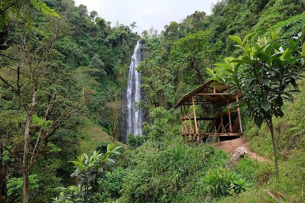 Materuni Waterfall, Chagga Coffee Tour and Chemka Hot Springs with Fruit Lunch