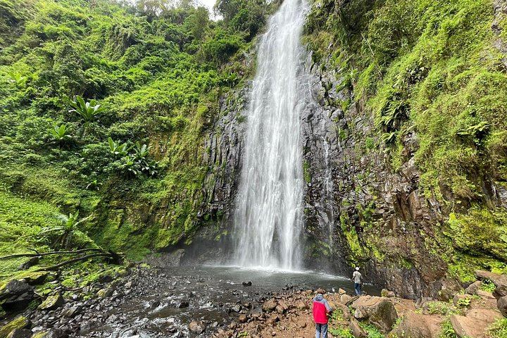 Materuni Waterfall, Chagga Coffee Tour and Chemka Hot Springs with Fruit Lunch (1/12)