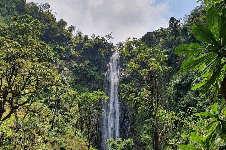 Materuni Waterfall, Chagga Coffee Tour and Chemka Hot Springs with Fruit Lunch (3/12)