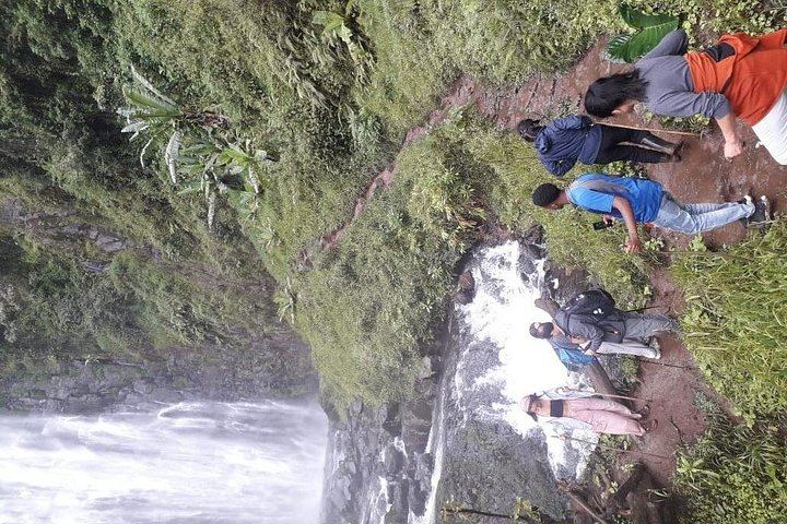 Materuni Waterfall, Chagga Coffee Tour and Chemka Hot Springs with Fruit Lunch (2/12)