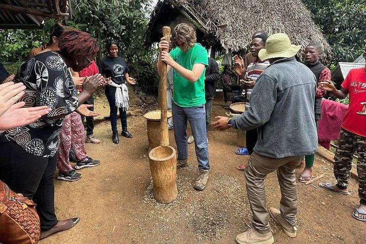 Materuni Waterfall, Chagga Coffee Tour and Chemka Hot Springs with Fruit Lunch (5/12)