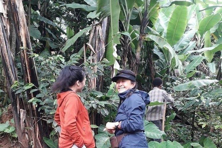 Materuni Waterfall, Chagga Coffee Tour and Chemka Hot Springs with Fruit Lunch (6/12)
