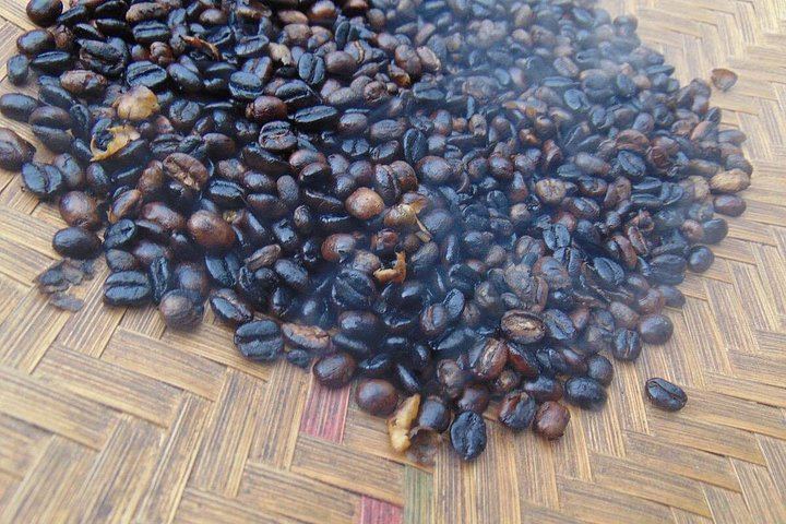 Materuni Waterfall, Chagga Coffee Tour and Chemka Hot Springs with Fruit Lunch (8/12)