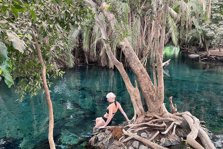 Materuni Waterfall, Chagga Coffee Tour and Chemka Hot Springs with Fruit Lunch (4/12)