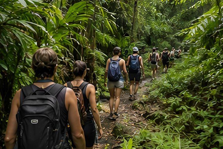 Epic Maui Hikes: 2-Mile Jungle Waterfall Hike from Kahului, 3 Hours (11/12)