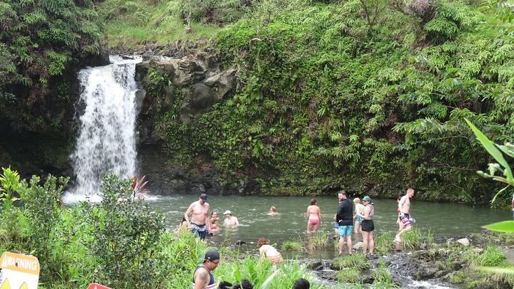 Road to Hana Mercedes Van Day Trip: Lahaina, Maalaea and Kahului Pickups, Lunch Included (4/12)
