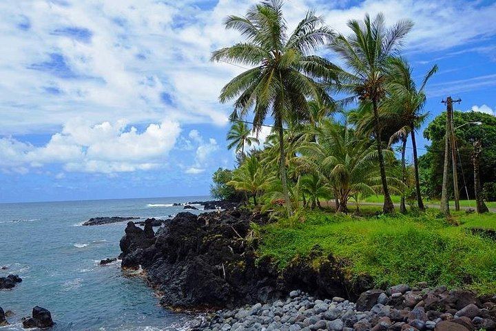 Road to Hana Mercedes Van Day Trip: Lahaina, Maalaea and Kahului Pickups, Lunch Included (11/12)