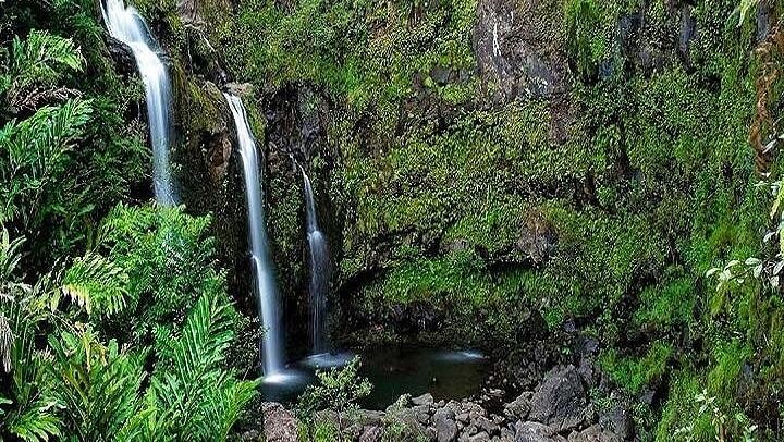 Aloha Sunshine Tours Road to Hana: Hotel Pickup, Picnic Lunch at the Black Sand Beach (3/12)