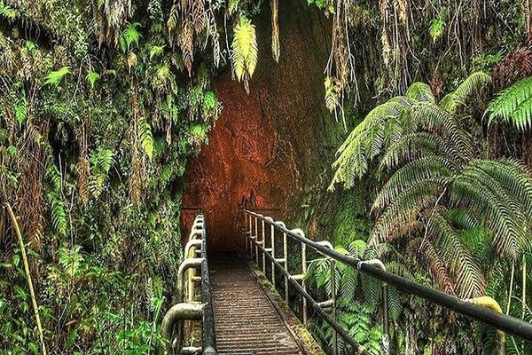 Aloha Sunshine Tours Road to Hana: Hotel Pickup, Picnic Lunch at the Black Sand Beach