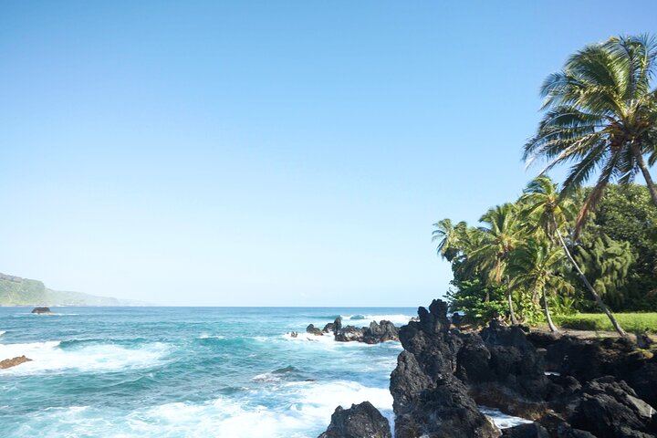 Aloha Sunshine Tours Road to Hana: Hotel Pickup, Picnic Lunch at the Black Sand Beach (8/12)