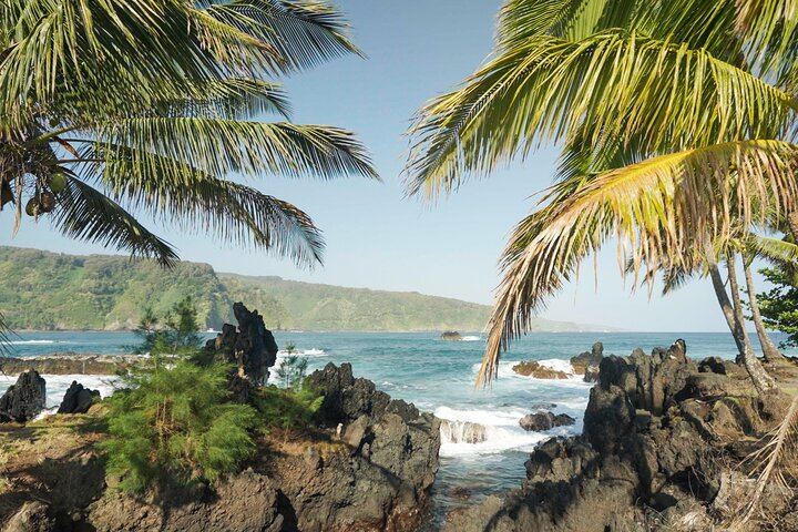 Aloha Sunshine Tours Road to Hana: Hotel Pickup, Picnic Lunch at the Black Sand Beach (11/12)