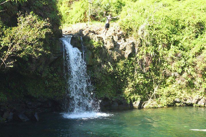 Aloha Sunshine Tours Road to Hana: Hotel Pickup, Picnic Lunch at the Black Sand Beach (10/12)