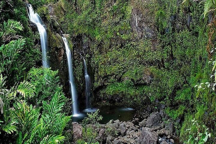 Aloha Sunshine Tours Road to Hana: Hotel Pickup, Picnic Lunch at the Black Sand Beach (3/12)