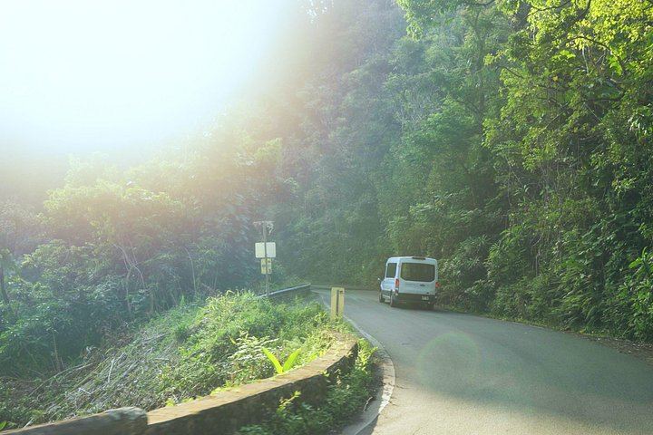 Aloha Sunshine Tours Road to Hana: Hotel Pickup, Picnic Lunch at the Black Sand Beach (12/12)