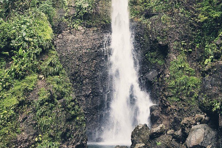 Middleham Falls Hike and Ti'tou Gorge Swim: Half-Day from Roseau with Pickup (6/6)