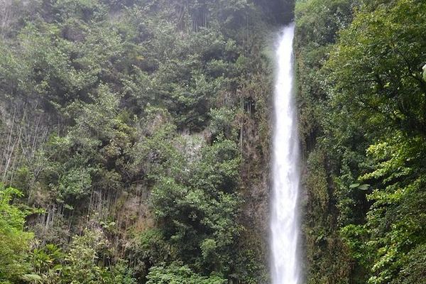 Middleham Falls Hike and Ti'tou Gorge Swim: Half-Day from Roseau with Pickup