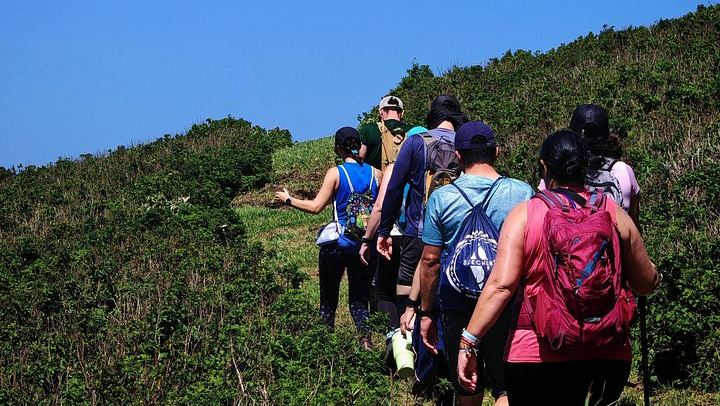 Miravalles Viewpoints Trail with Suspension Bridge and Hidden Waterfall near Bagaces (4/12)