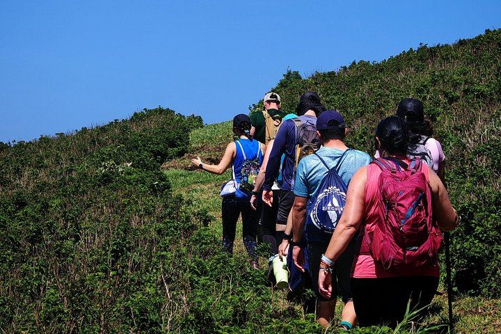 Miravalles Viewpoints Trail with Suspension Bridge and Hidden Waterfall near Bagaces (4/12)