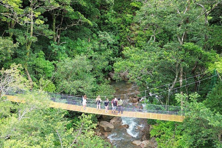 Miravalles Viewpoints Trail with Suspension Bridge and Hidden Waterfall near Bagaces (9/12)