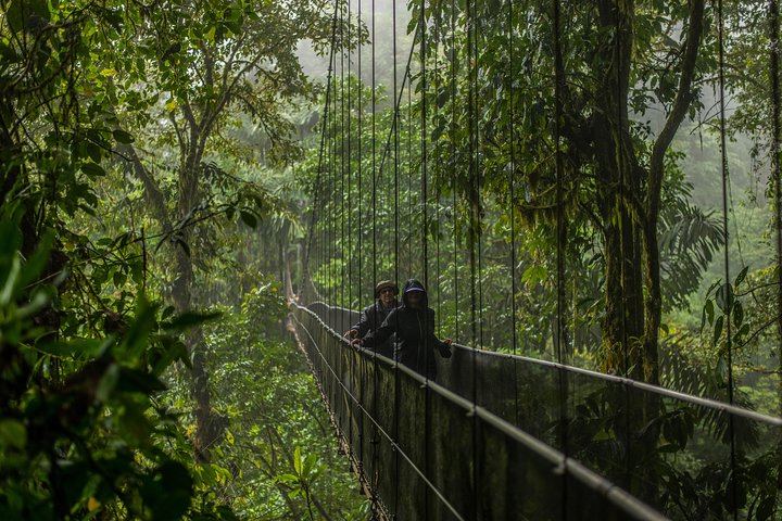 Arenal 1968 Trail, La Fortuna Waterfall and Mistico Hanging Bridges Small-Group Combo (9/12)