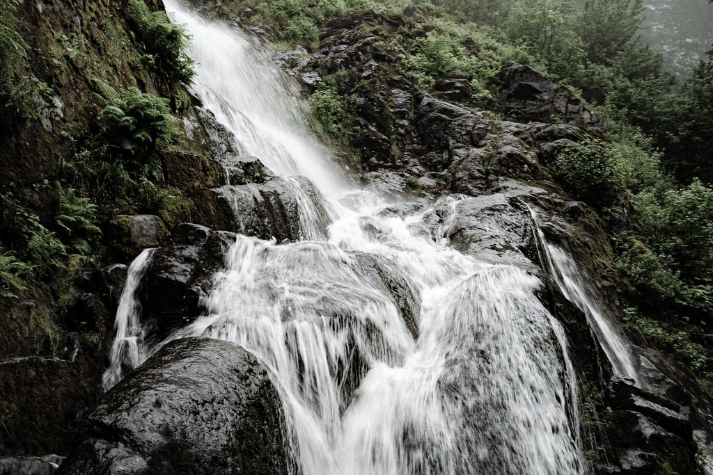 A white waterfall tumbling down a rocky slope in a misty conifer forest