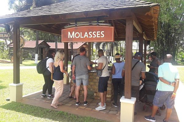 Private Appleton Rum, YS Falls and Black River Safari Day Tour from Montego Bay