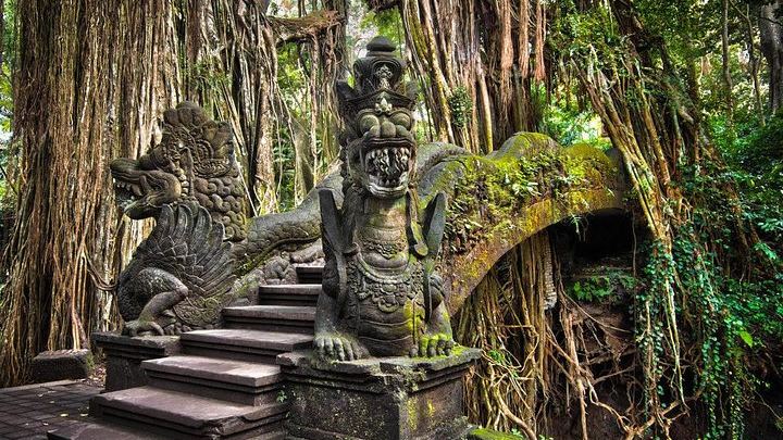 Ubud Private Tour with Monkey Forest, Tirta Empul and Tegenungan Waterfall (3/12)