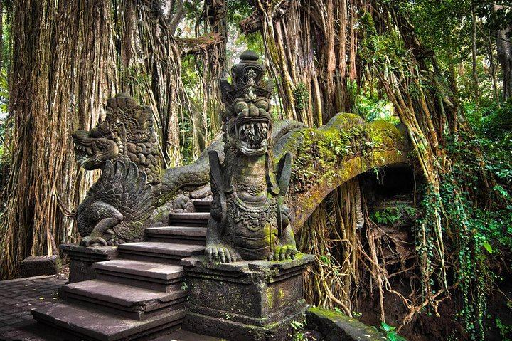 Ubud Private Tour with Monkey Forest, Tirta Empul and Tegenungan Waterfall (3/12)
