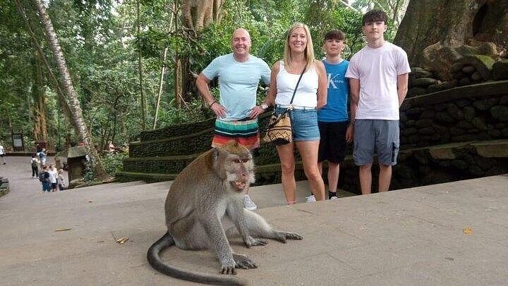 Private Ubud Tour: Ulu Petanu Waterfall, Tirta Empul, Monkey Forest and Swing (2/12)