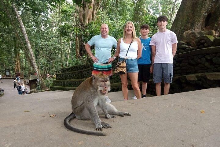 Private Ubud Tour: Ulu Petanu Waterfall, Tirta Empul, Monkey Forest and Swing (2/12)