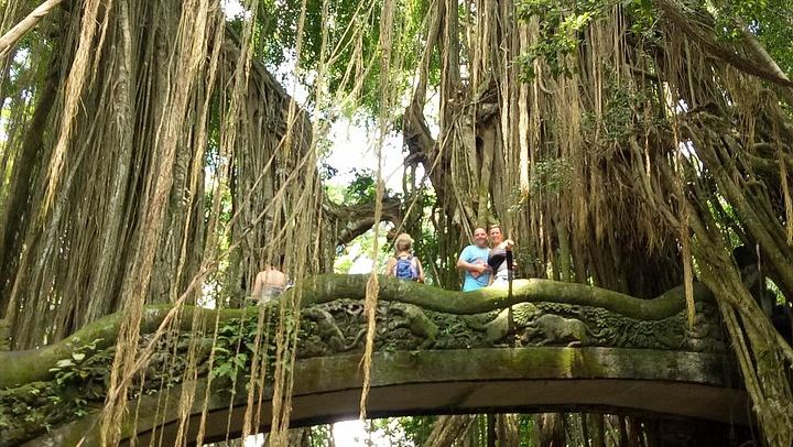 Private Ubud Tour: Sumampan Waterfall, Monkey Forest, Rice Terraces and Swing (2/12)