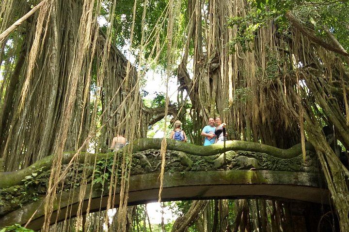 Private Ubud Tour: Sumampan Waterfall, Monkey Forest, Rice Terraces and Swing (2/12)