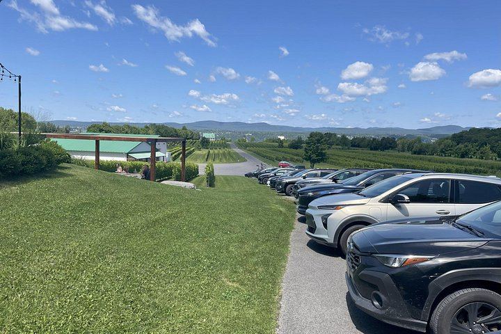 Île d'Orléans Tastings and Montmorency Falls, 4-Hour Private Drive with Chauffeur-Guide (2/11)