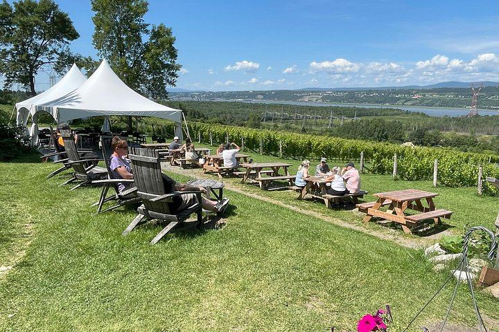 Île d'Orléans Tastings and Montmorency Falls, 4-Hour Private Drive with Chauffeur-Guide (9/11)