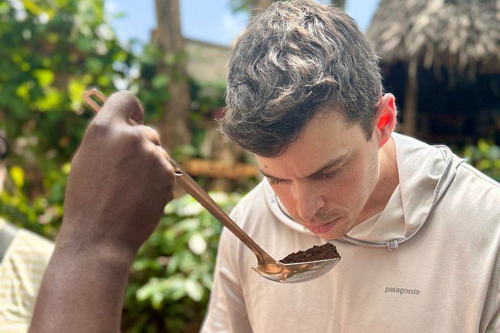 Small-Group Materuni Waterfalls Hike, Hot Chagga Lunch and Coffee Farm Visit (9/10)