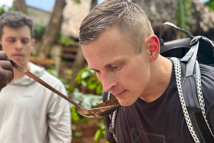 Small-Group Materuni Waterfalls Hike, Hot Chagga Lunch and Coffee Farm Visit (8/10)