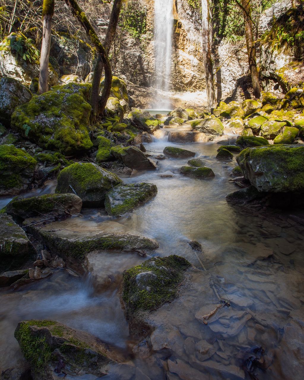 Moss-covered stones in a clear stream below a small waterfall in a forest at Butori, Istria, Croatia