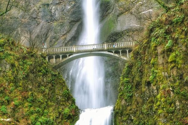 Half-Day Columbia Gorge Waterfall Hikes with Local Legends, Portland Pickup