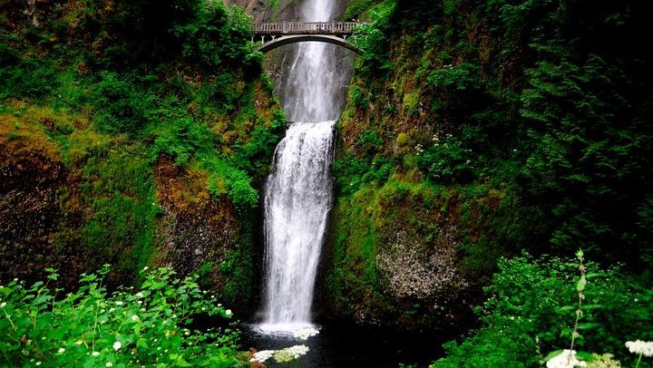 Columbia Gorge Waterfalls, Hood River and Timberline Lodge Day Tour, Portland (4/8)
