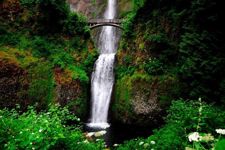 Columbia Gorge Waterfalls, Hood River and Timberline Lodge Day Tour, Portland (4/8)