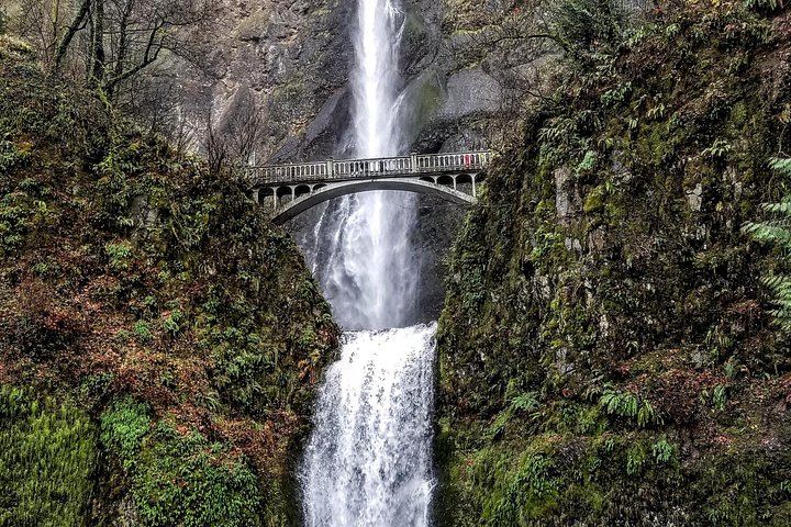 Eight-Hour Waterfalls and Wine Tour: Multnomah Falls, Hood River, Vineyards (6/12)