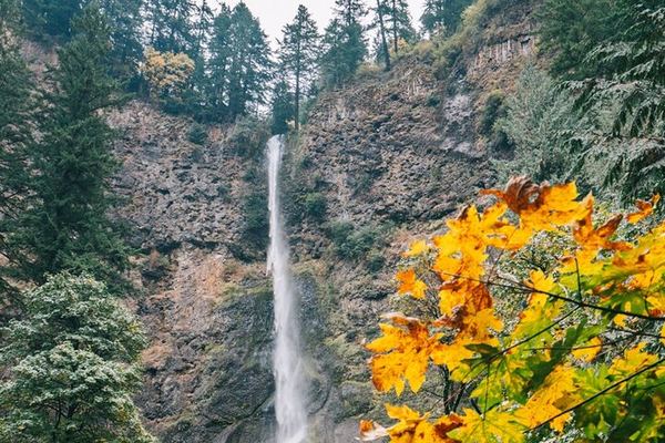 Full-Day Portland City and Columbia Gorge Waterfalls Sightseeing Tour