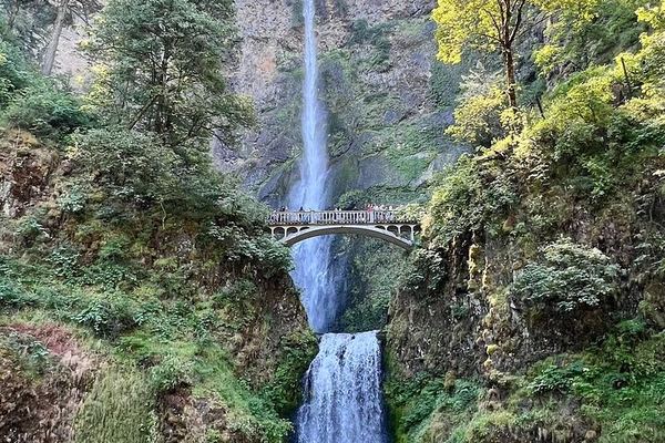 Private Multnomah Falls and Columbia Gorge Tour with Lunch Stop at the Lodge