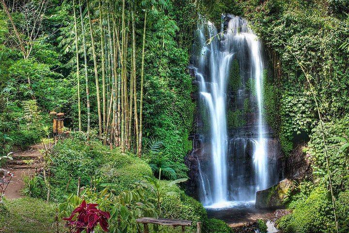 Private Munduk, Banyumala, Leke Leke and Banyu Wana Amertha Waterfall Day (9/12)