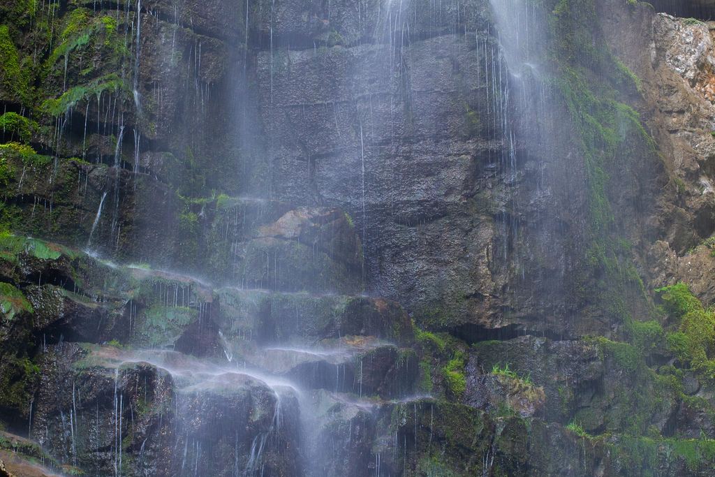 A narrow waterfall falling over dark wet rock surrounded by moss and ferns