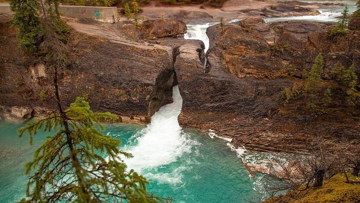 Lake Louise, Emerald Lake and Takakkaw Falls: Banff, Yoho and Kootenay Day Tour (4/12)