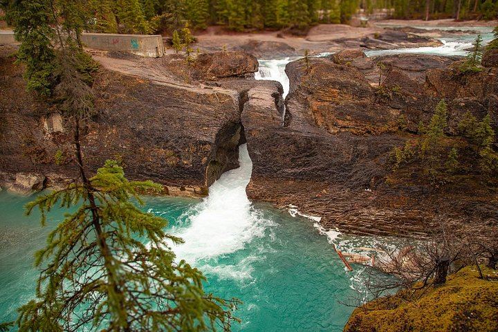 Lake Louise, Emerald Lake and Takakkaw Falls: Banff, Yoho and Kootenay Day Tour (4/12)